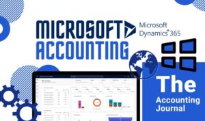 Microsoft Accounting Software